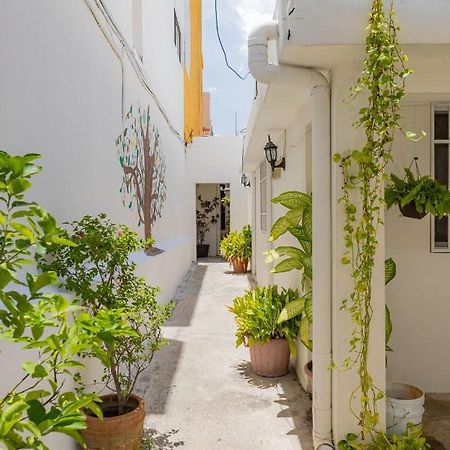 Hotel Las Palmas Cancun Centro Zewnętrze zdjęcie